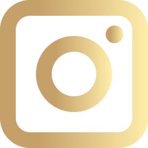 insta icon